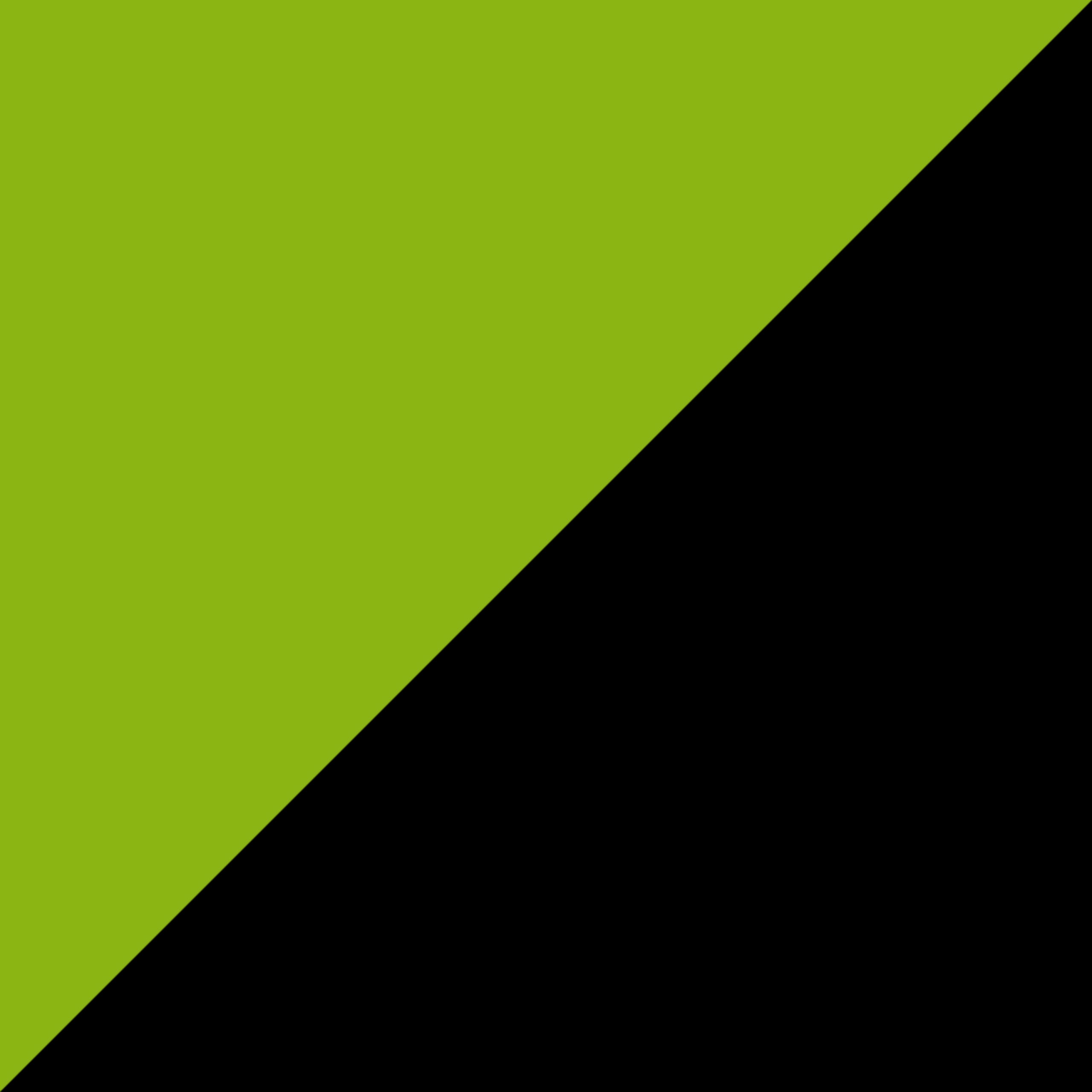 LGB Lime Green & Black